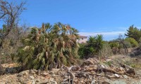 Grondstuk - Herverkoop - Denia - ZV2-96674