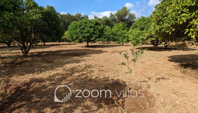 Maison de campagne / finca - Revente - Denia - Sport center