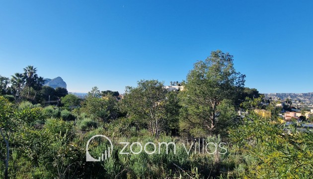 Parcela / Terreno - Reventa - Calpe - 03710