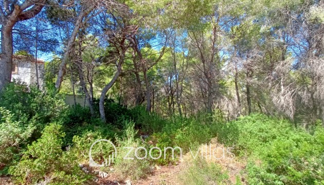 Parcela / Terreno - Reventa - Calpe - Calpe