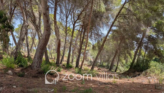 Parcela / Terreno - Reventa - Moraira -
                Pinar del advocat