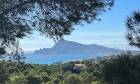 Parcelle / Terrain - Revente - Altea - ZV8-43308