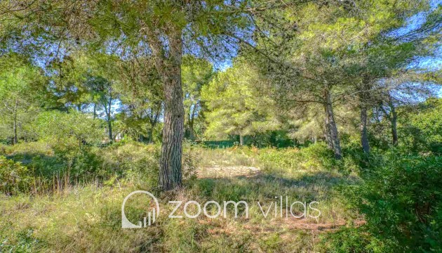 Parcelle / Terrain - Revente - Jávea - Portichol