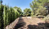 Parcelle / Terrain - Revente - Jávea - ZV2-92195