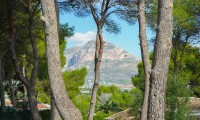 Parcelle / Terrain - Revente - Jávea - ZV9-92003