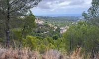 Plot / Land - Resale - Callosa De Ensarrià - ZV8-80306