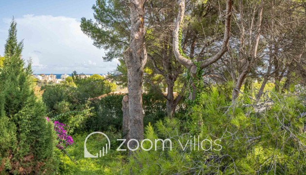 Plot / Land - Resale - Jávea - Adsubia