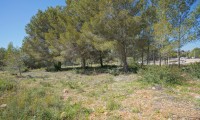 Plot / Land - Resale - Jávea - ZV2-24790