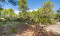Plot / Land - Resale - Jávea - ZV2-99416