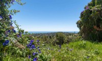 Plot / Land - Resale - Moraira - ZV2-15485