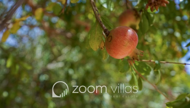 Herverkoop - Villa - Jávea