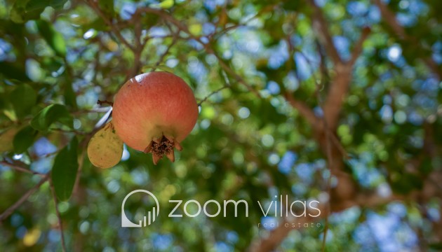 Herverkoop - Villa - Jávea