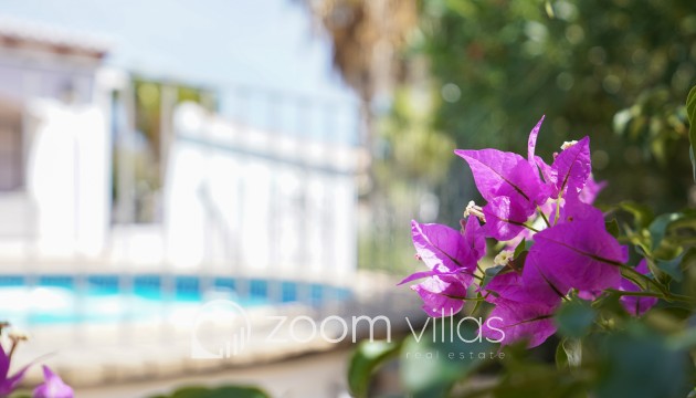 Herverkoop - Villa - Jávea