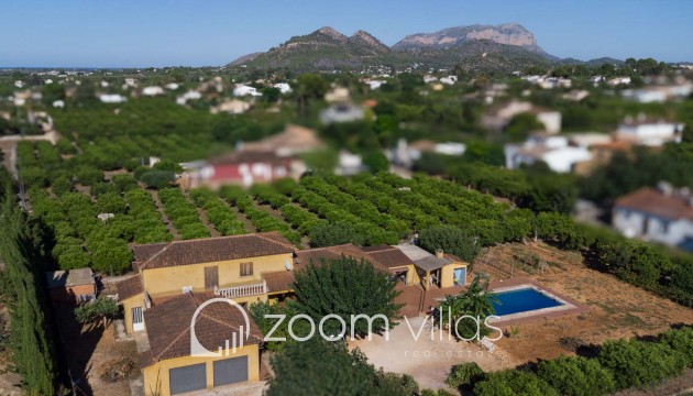 Reventa - Villa - Pedreguer