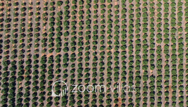 Resale - Villa - Denia