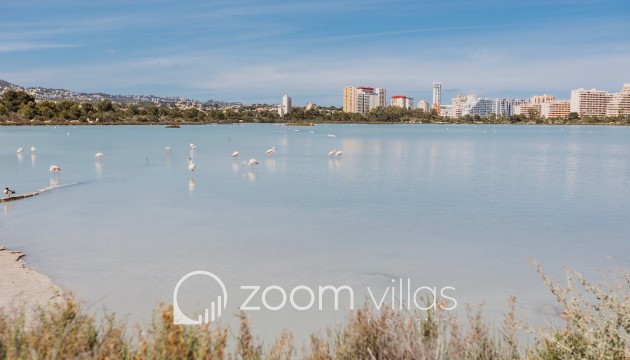 Revente - Appartement - Calpe - Calpe Town Centre