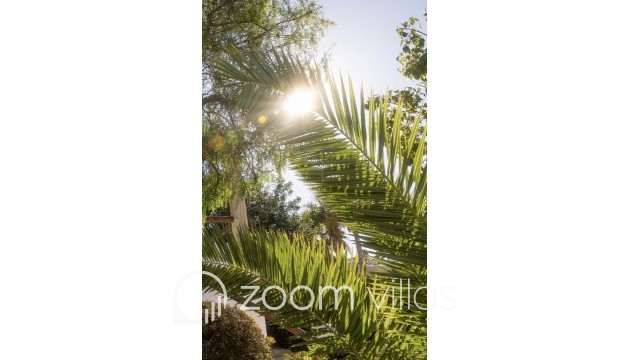 Resale - Villa - Jávea - Tosalet