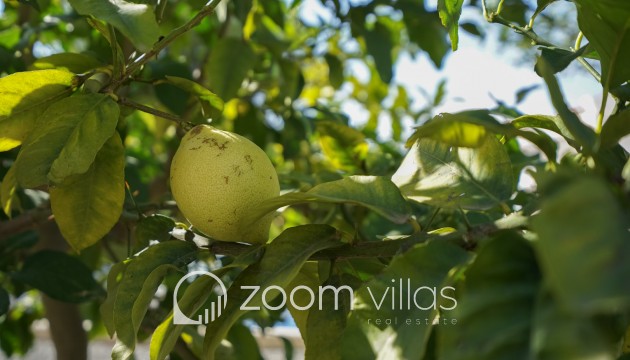 Reventa - Villa - Benissa - La Fustera