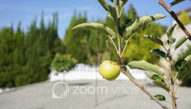 Reventa - Villa - Benissa - La Fustera