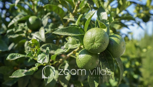 Reventa - Villa - Benissa - La Fustera