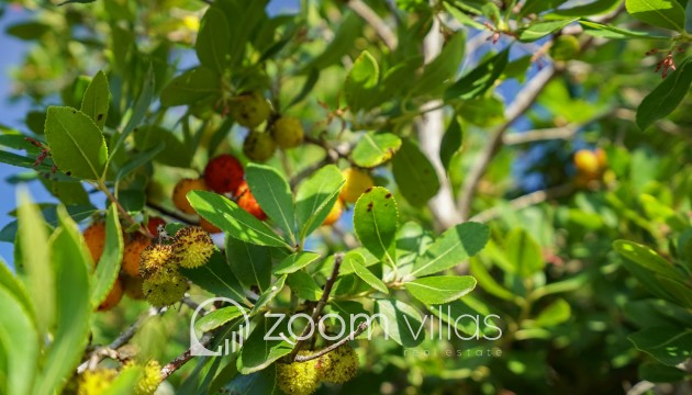 Reventa - Parcela / Terreno - Jávea - La Lluca