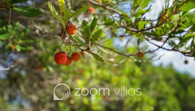 Resale - Villa - Jávea - La Lluca