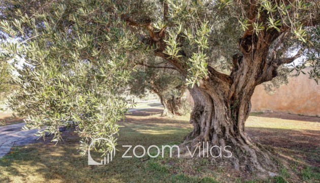 Resale - Finca - Moraira - Campo