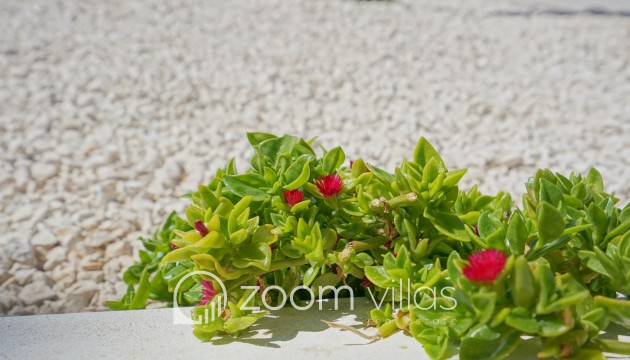 New Build - Villa - Moraira - Benimeit