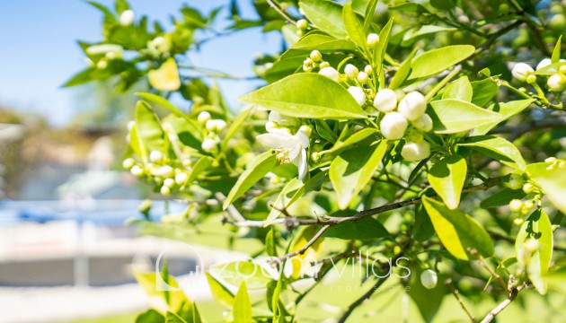 Resale - Villa - Denia - La Xara