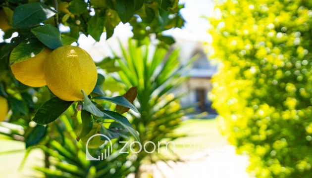 Resale - Villa - Denia - La Xara