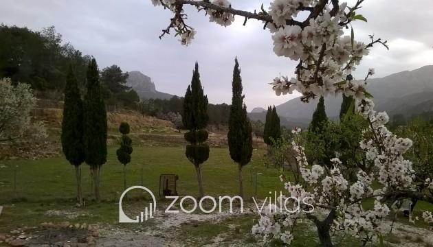 Reventa - Parcela / Terreno - Benissa