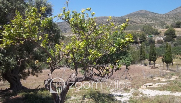 Reventa - Parcela / Terreno - Benissa