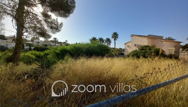 Revente - Parcelle / Terrain - Calpe