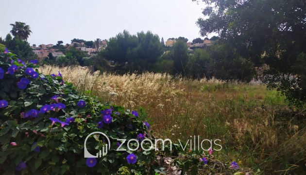 Reventa - Parcela / Terreno - Calpe