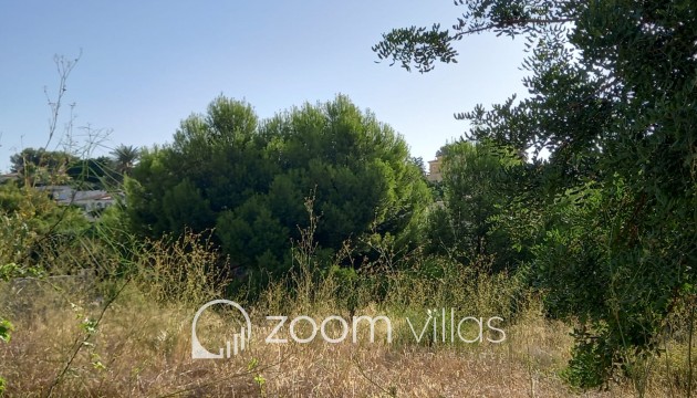 Reventa - Parcela / Terreno - Calpe