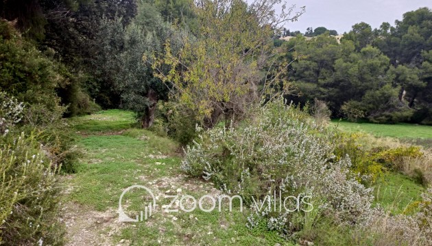 Reventa - Parcela / Terreno - Benissa