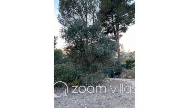 Wiederverkauf - Grundstück - Benissa