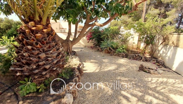 Herverkoop - Villa - Calpe