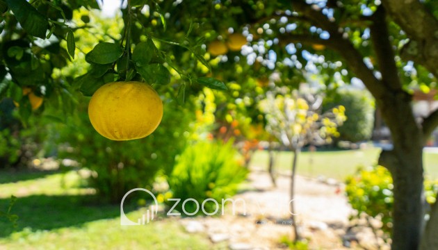 Resale - Villa - Denia - La Xara