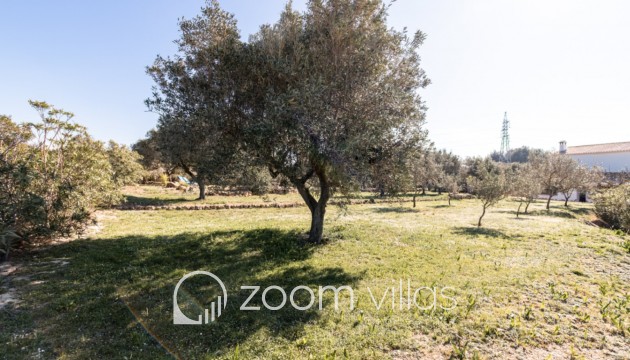 Reventa - Finca - Teulada - Canor