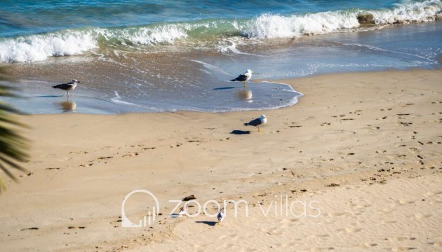 Reventa - Apartamento - Calpe