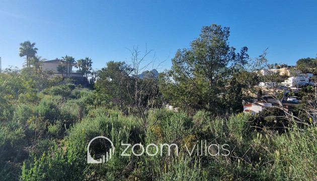 Reventa - Parcela / Terreno - Calpe - 03710