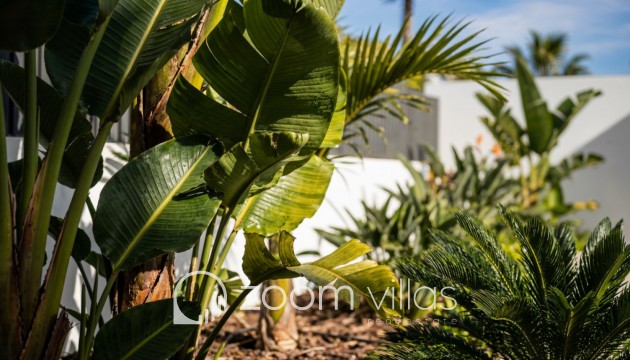 Revente - Villa - Calpe - Empedrola