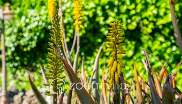 Resale - Villa - Jávea - Senioles