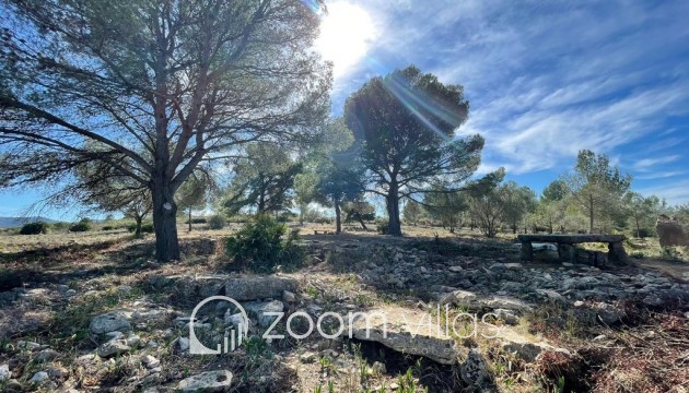 Resale - Plot / Land - Beniarbeig - Benidoleig