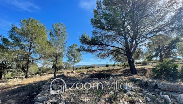 Resale - Plot / Land - Beniarbeig - Benidoleig