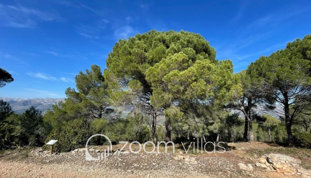 Resale - Plot / Land - Beniarbeig - Benidoleig