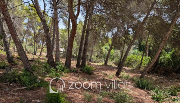 Resale - Plot / Land - Moraira - Pinar del advocat