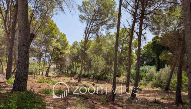 Resale - Plot / Land - Moraira - Pinar del advocat