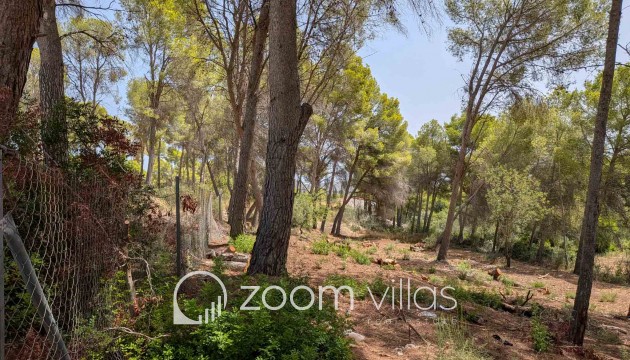 Resale - Plot / Land - Moraira - Pinar del advocat